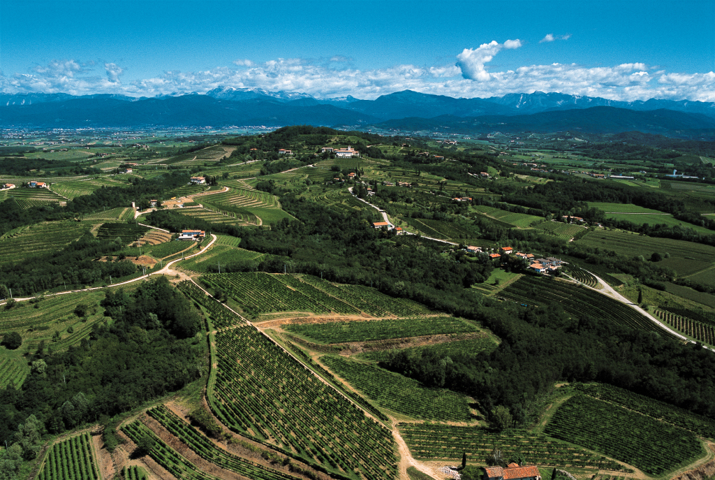 vista aerea dei Colli Orientali del Friuli con i vigneti Specogna