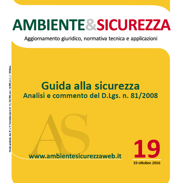 Guida Alla Sicurezza: Analisi E Commento Del D.Lgs. 81/2008